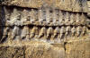 Twelve Hittite gods of the Underworld in the nearby Yazılıkaya, a sanctuary of Hattusa